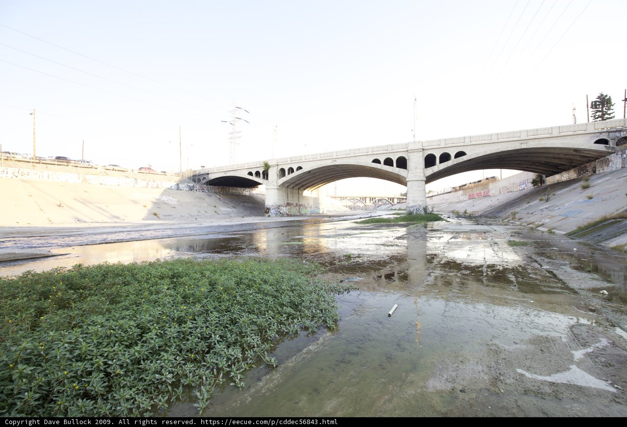 Double Bridge Delight