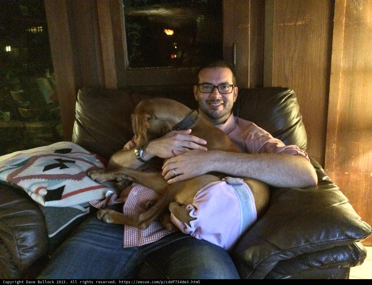 Man's Best Friend