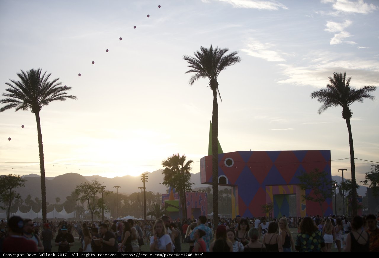 Palm Tree Party-Goers