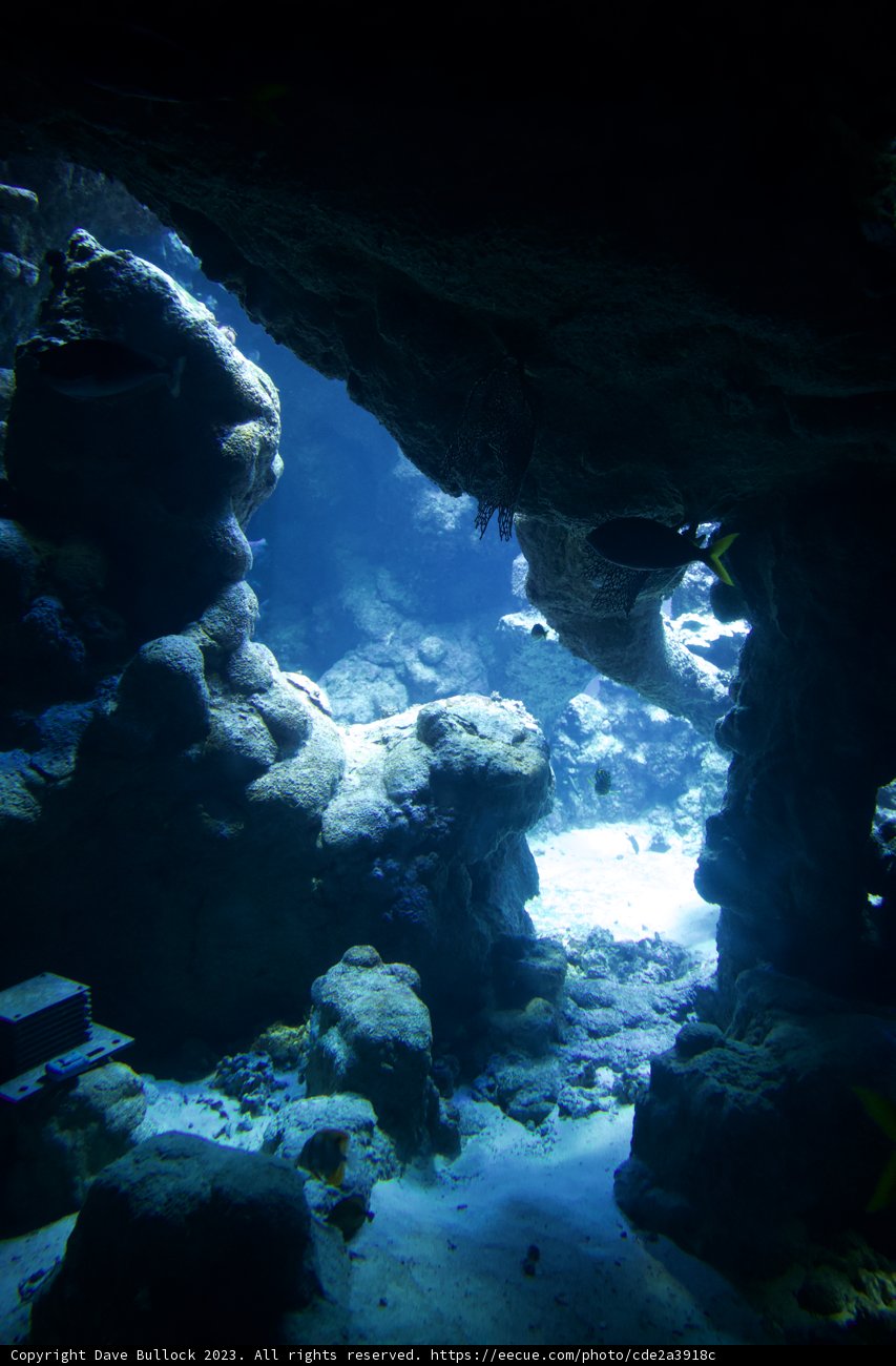 Luminous Underwater Odyssey
