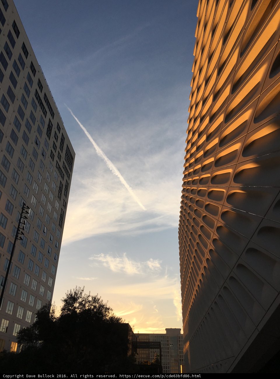 Sunset Flight
