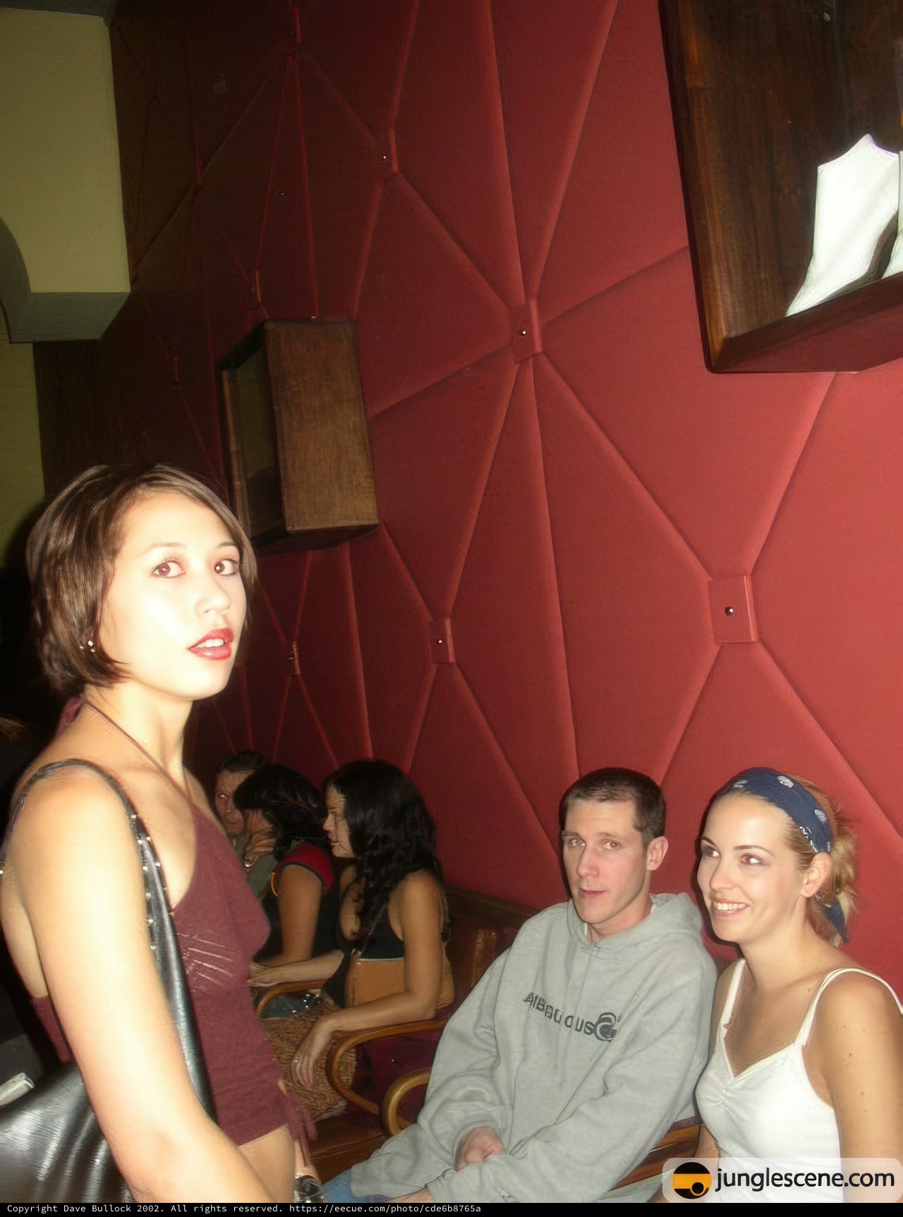 Lady in Red at the Night Club