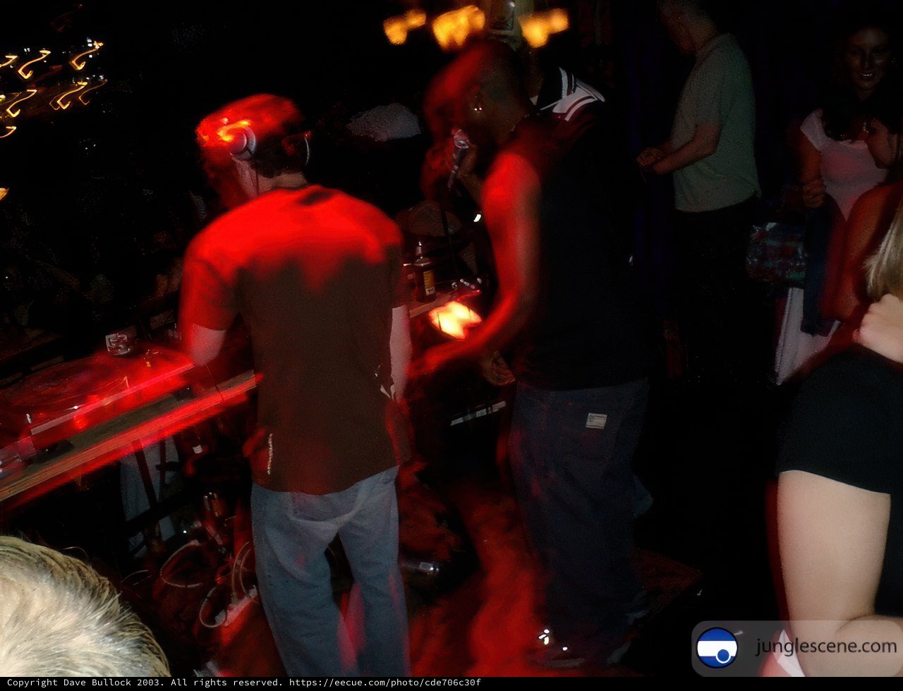 Nightclub Gathering