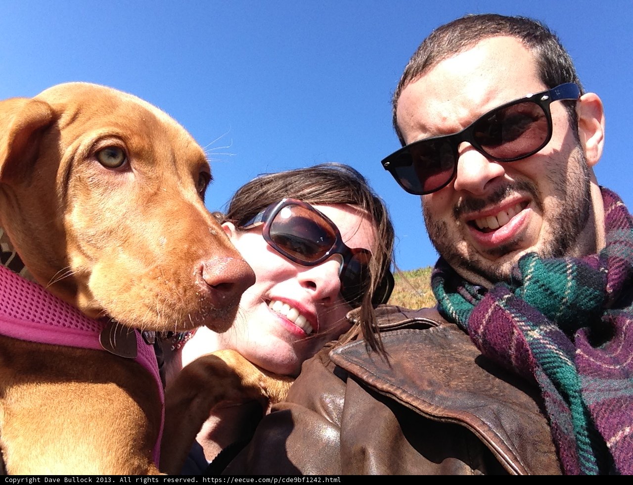 At the Beach with Our Furry Friend