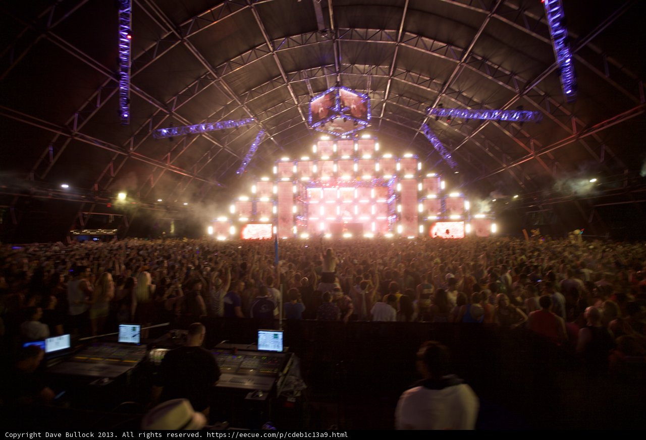The Rocking Crowd at Coachella