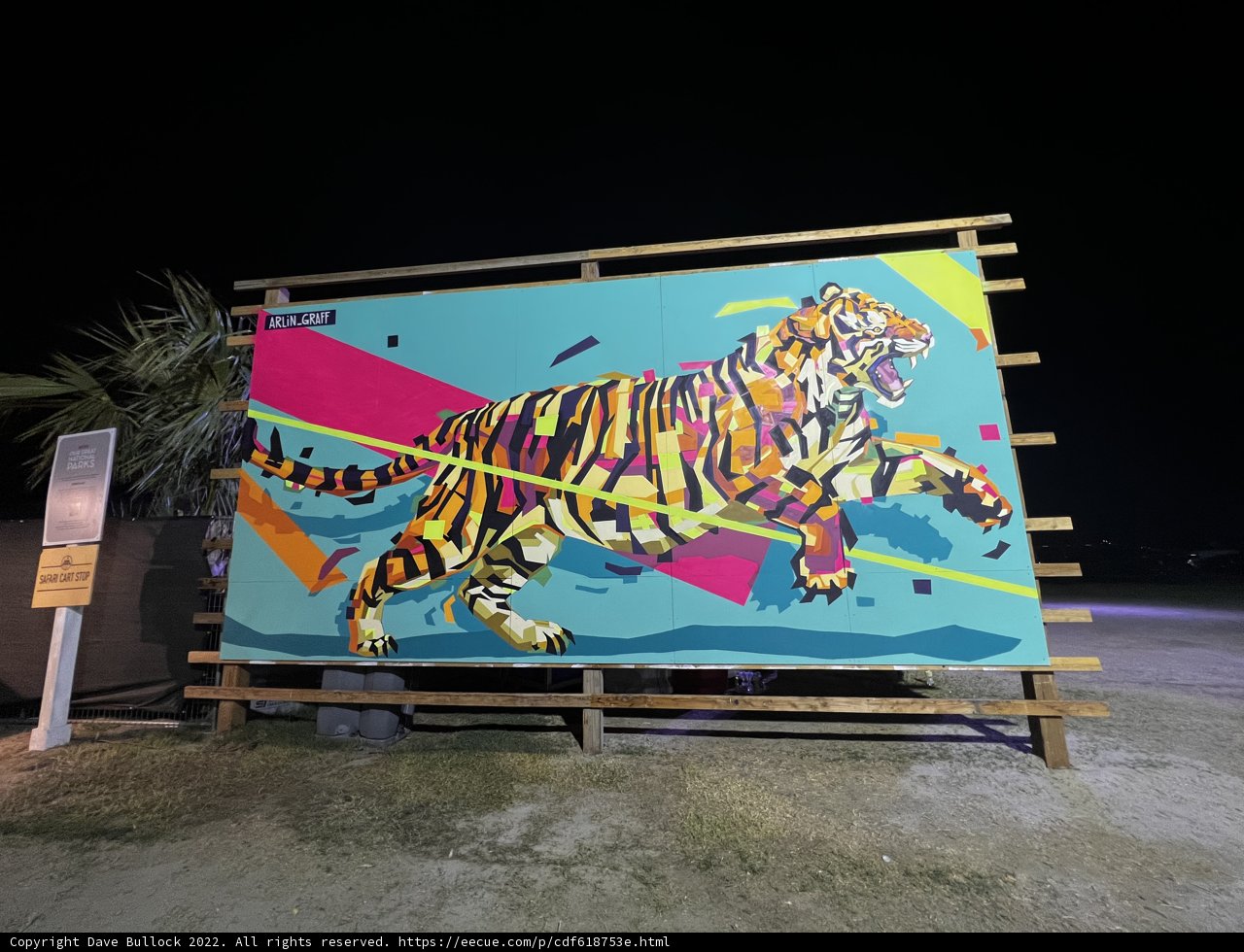 Roaring Beauty on the Night Sky