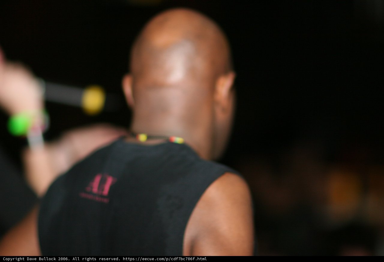Bald-headed Man in the Bass Rush Crowd