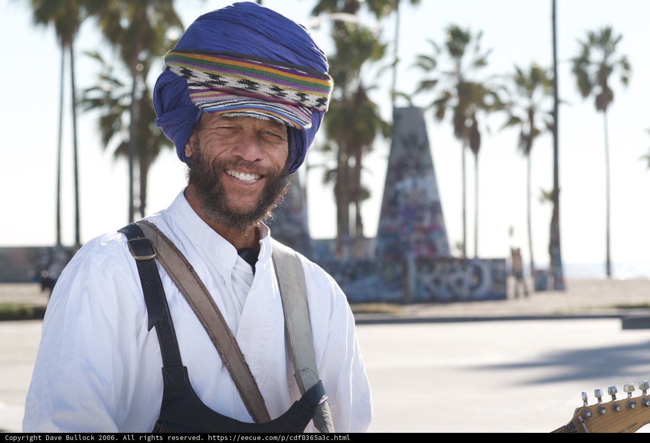 Turbaned Gentleman with Guitar and palm tree