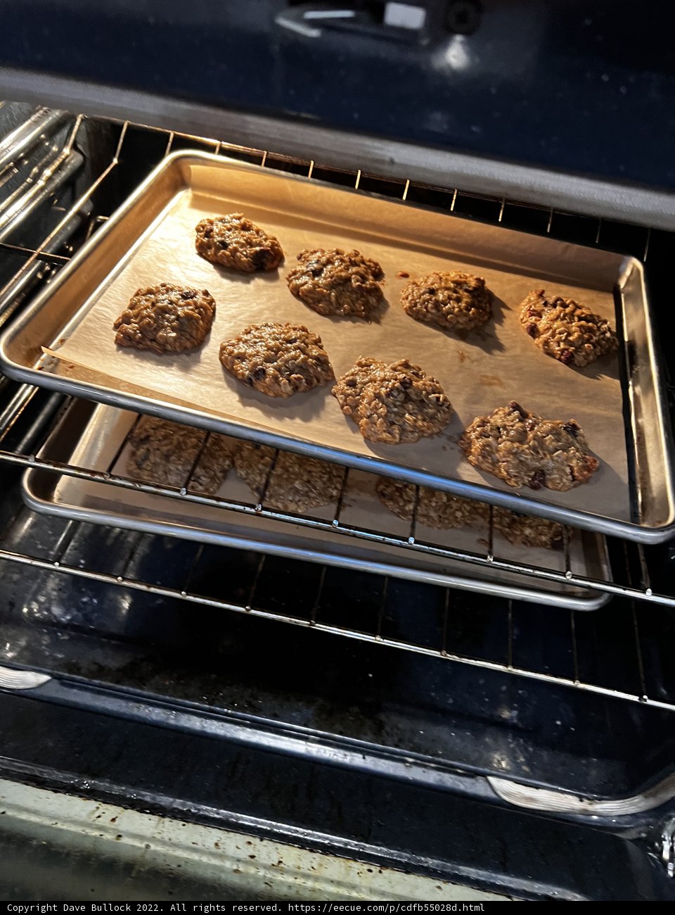 Delicious Chocolate Chip Cookies Straight Out of the Oven