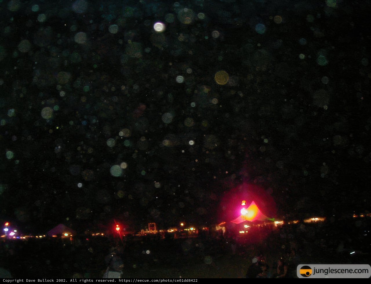 The Starry Night Comes Alive