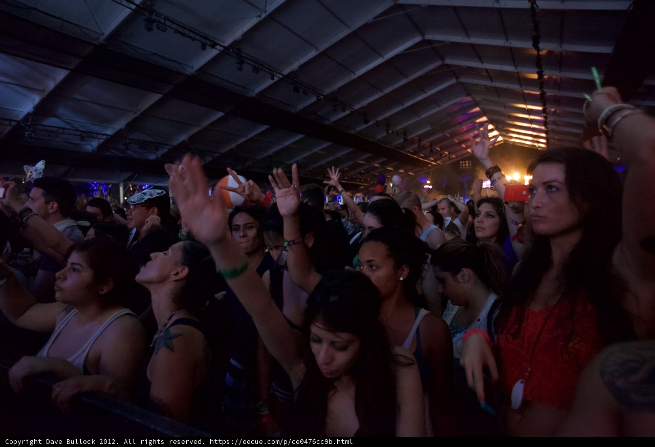 Coachella Nightlife