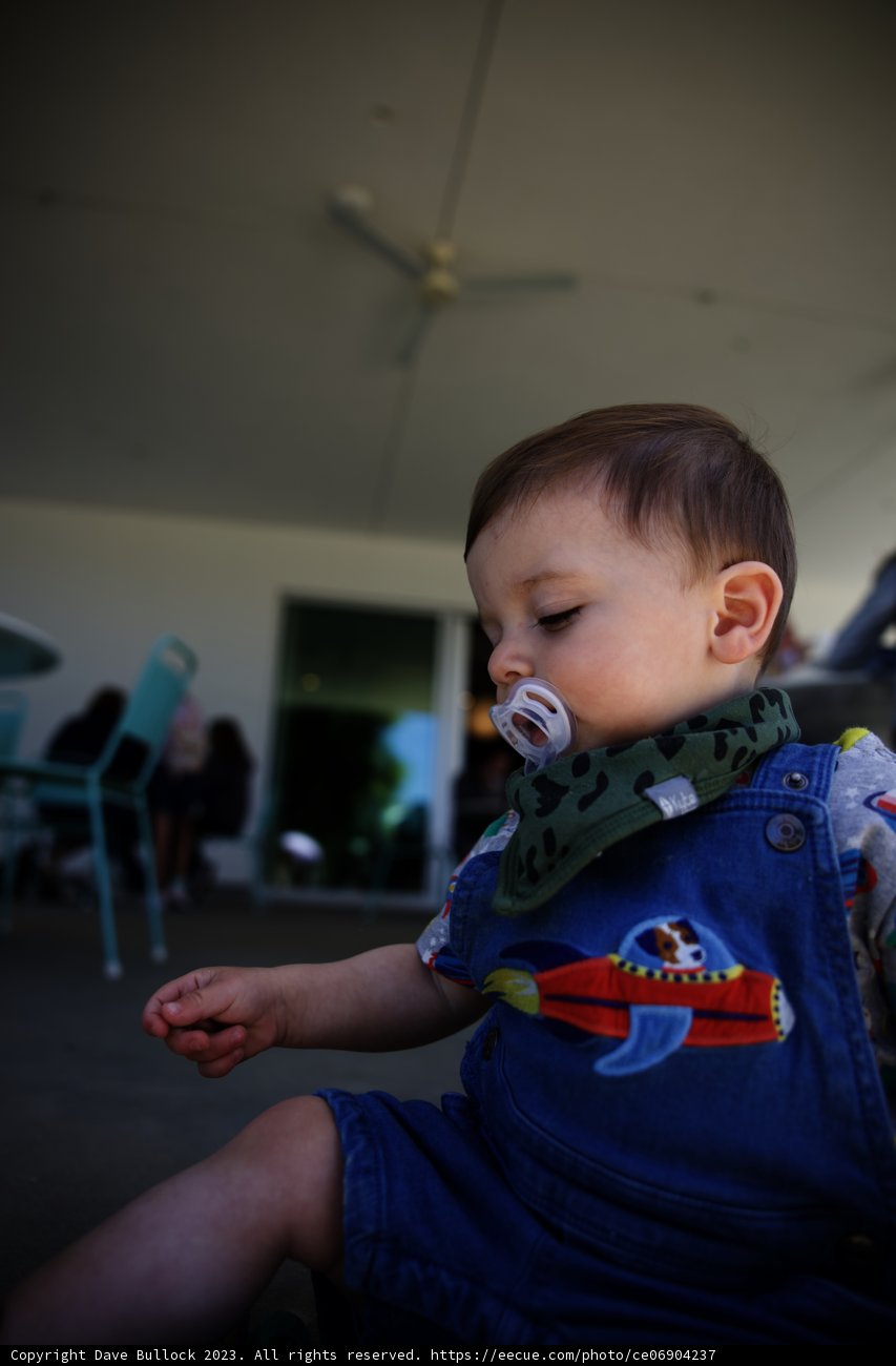 Little Explorer Takes a Break