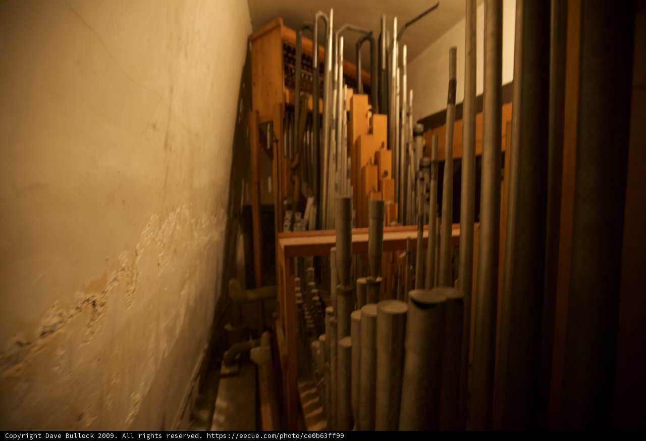 Heavenly Sounds from an Ancient Organ