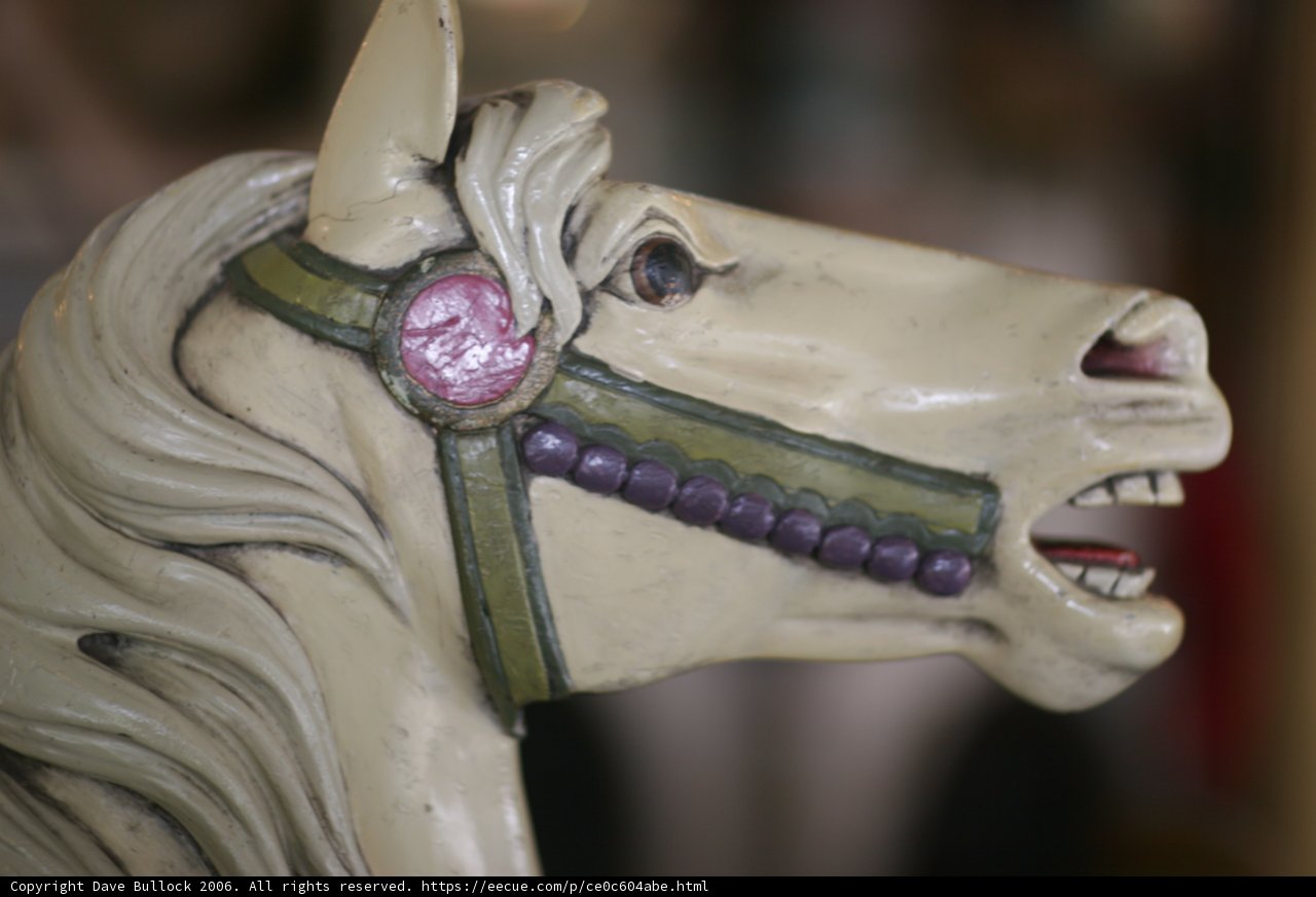 Majestic Horses of the Carousel