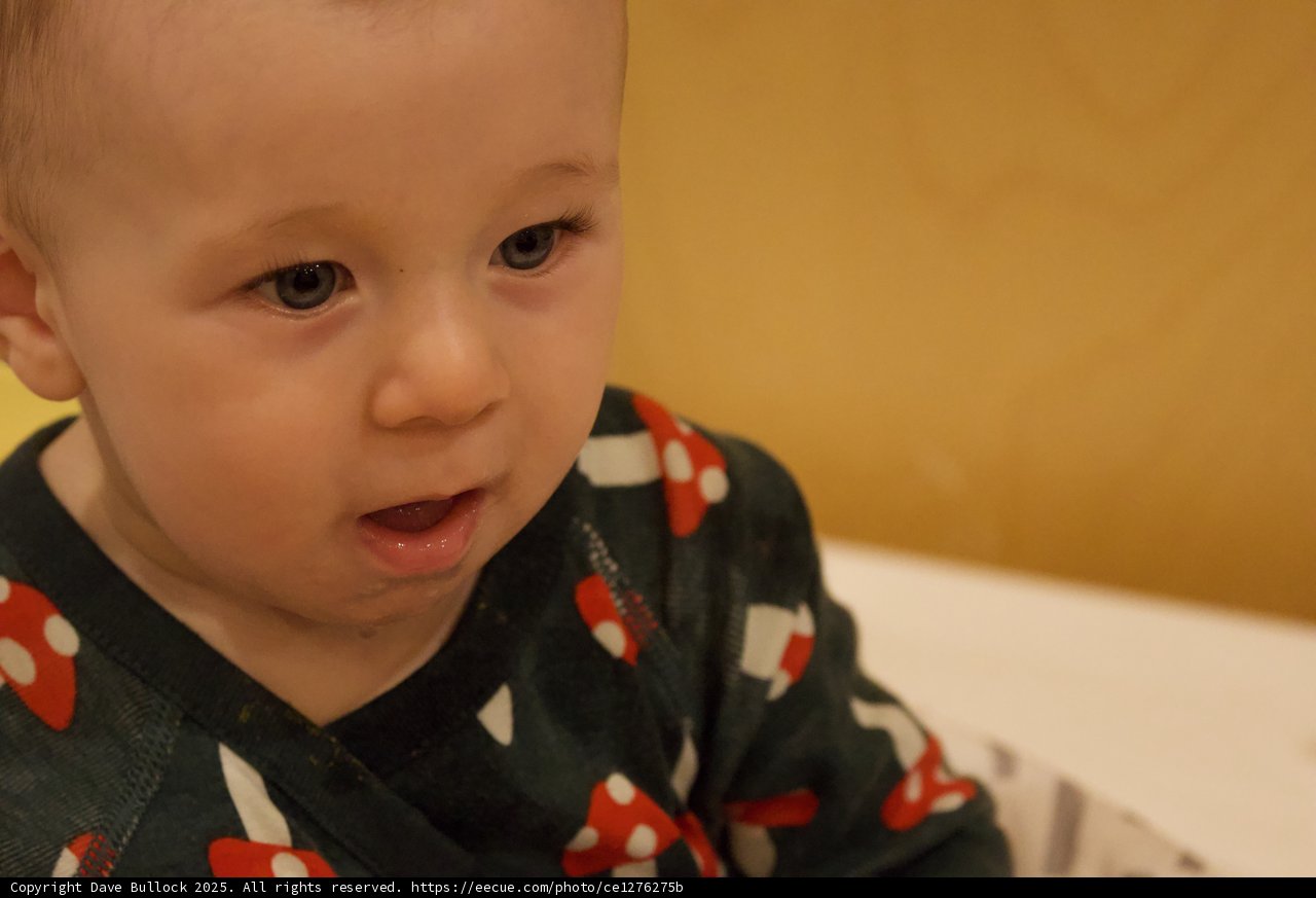 Innocence in Focus