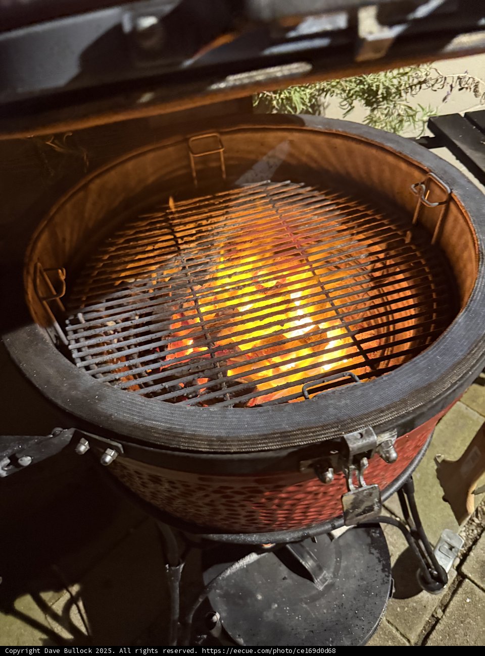Evening Glow of the Grill