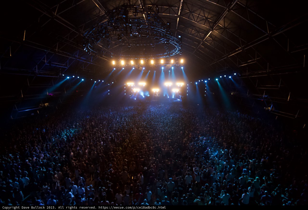 Rockin' Out with the Crowd