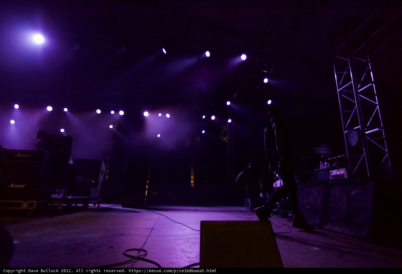 Purple Haze Concert