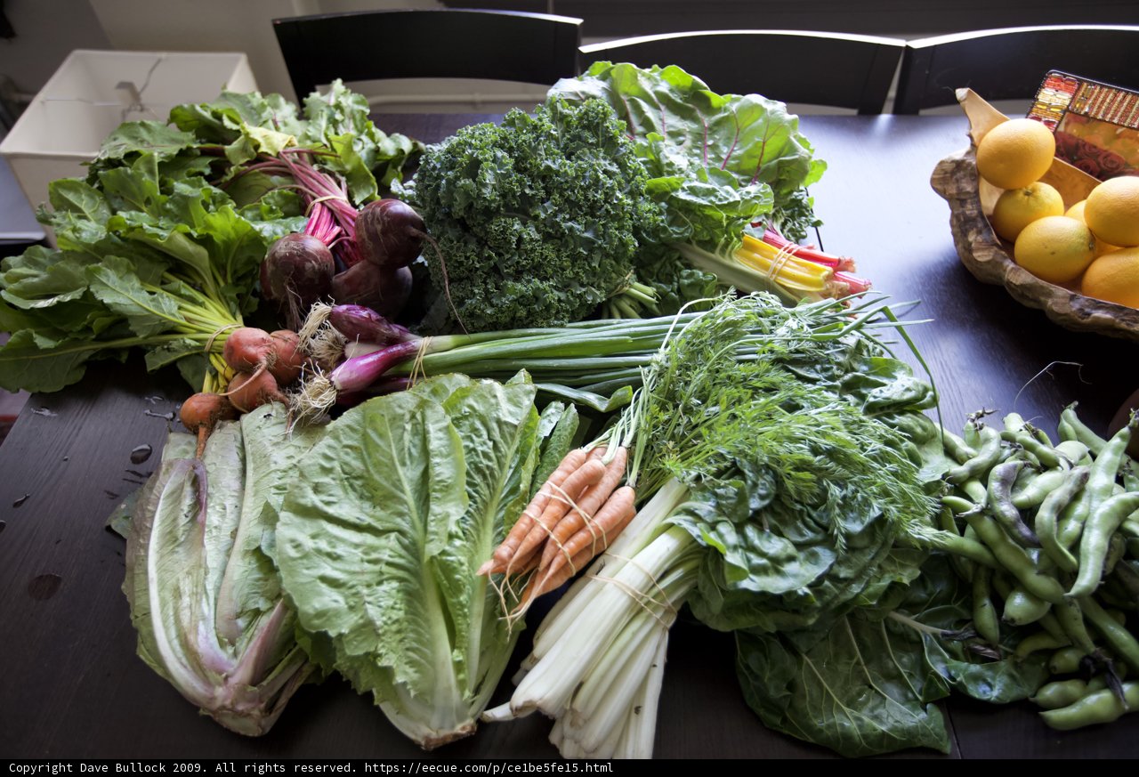 Fresh Harvest from South Central Garden