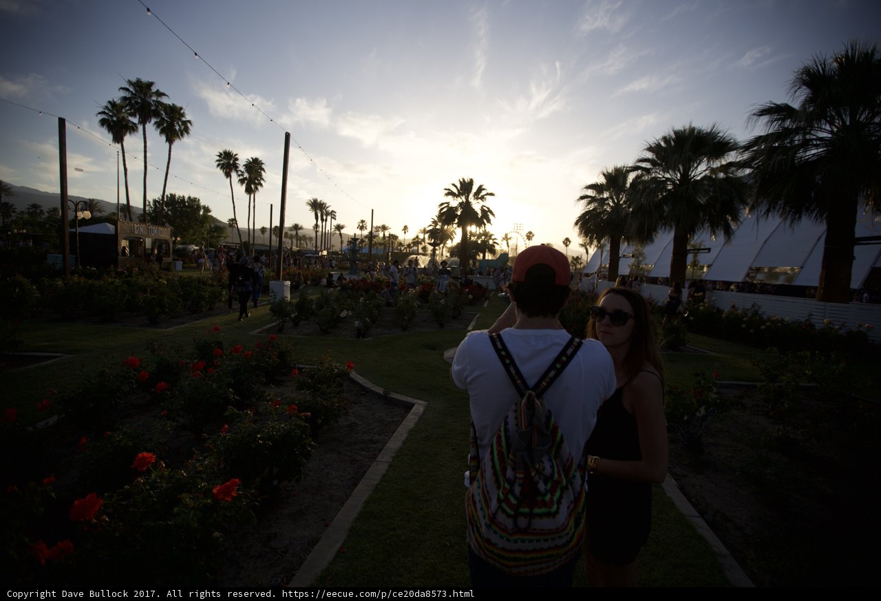 Capturing Love in the Garden