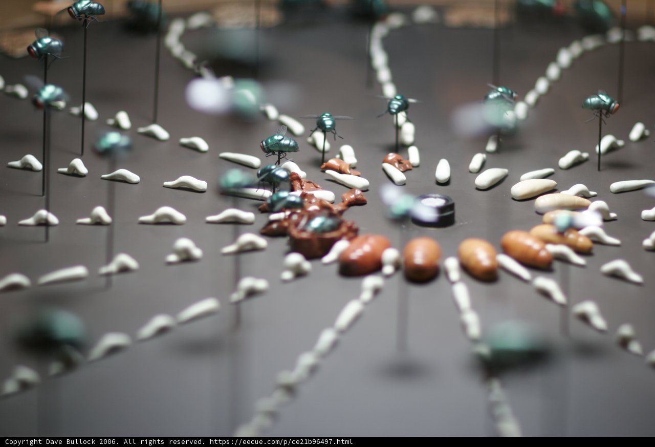 Colorful Gemstone Beads