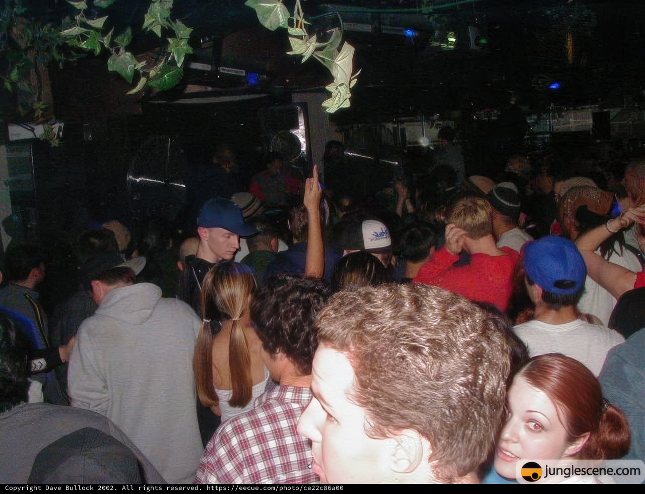 Capturing the Nightlife Fun