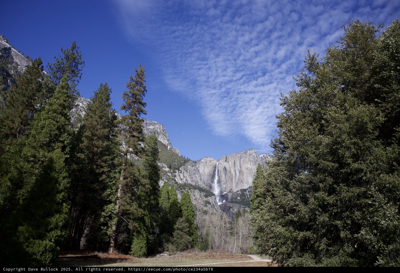Yosemite Falls Framed by Evergreens in Winter