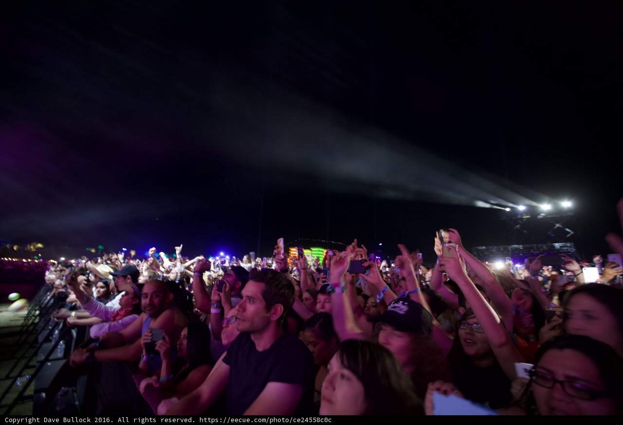 Hands in the Air at Coachella
