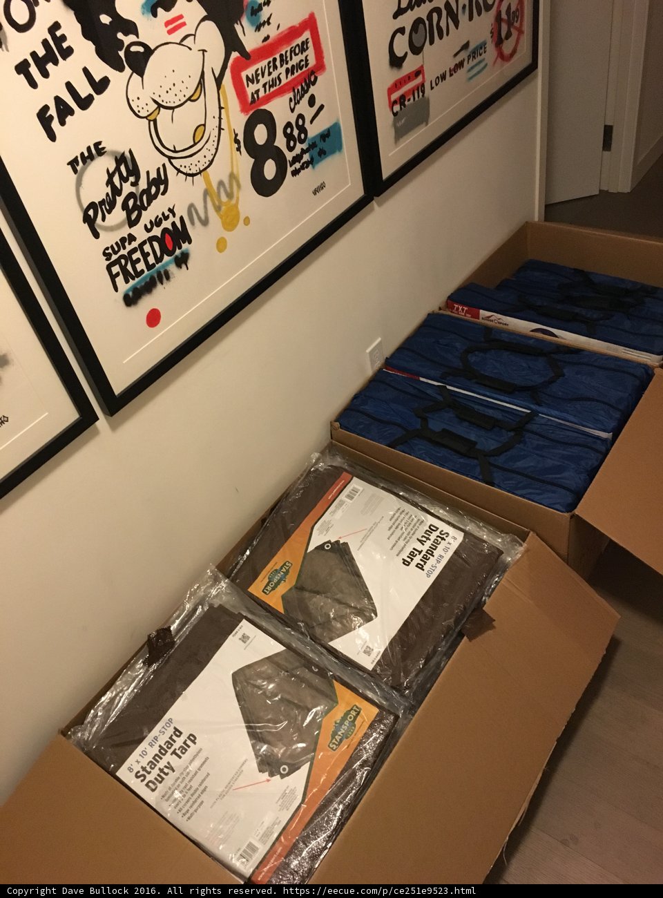 Books and Poster