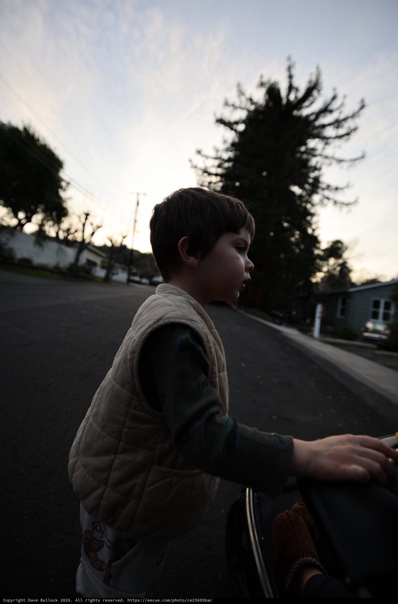 Young Boy Skateboarding at Dusk in Suburban Neighborhood