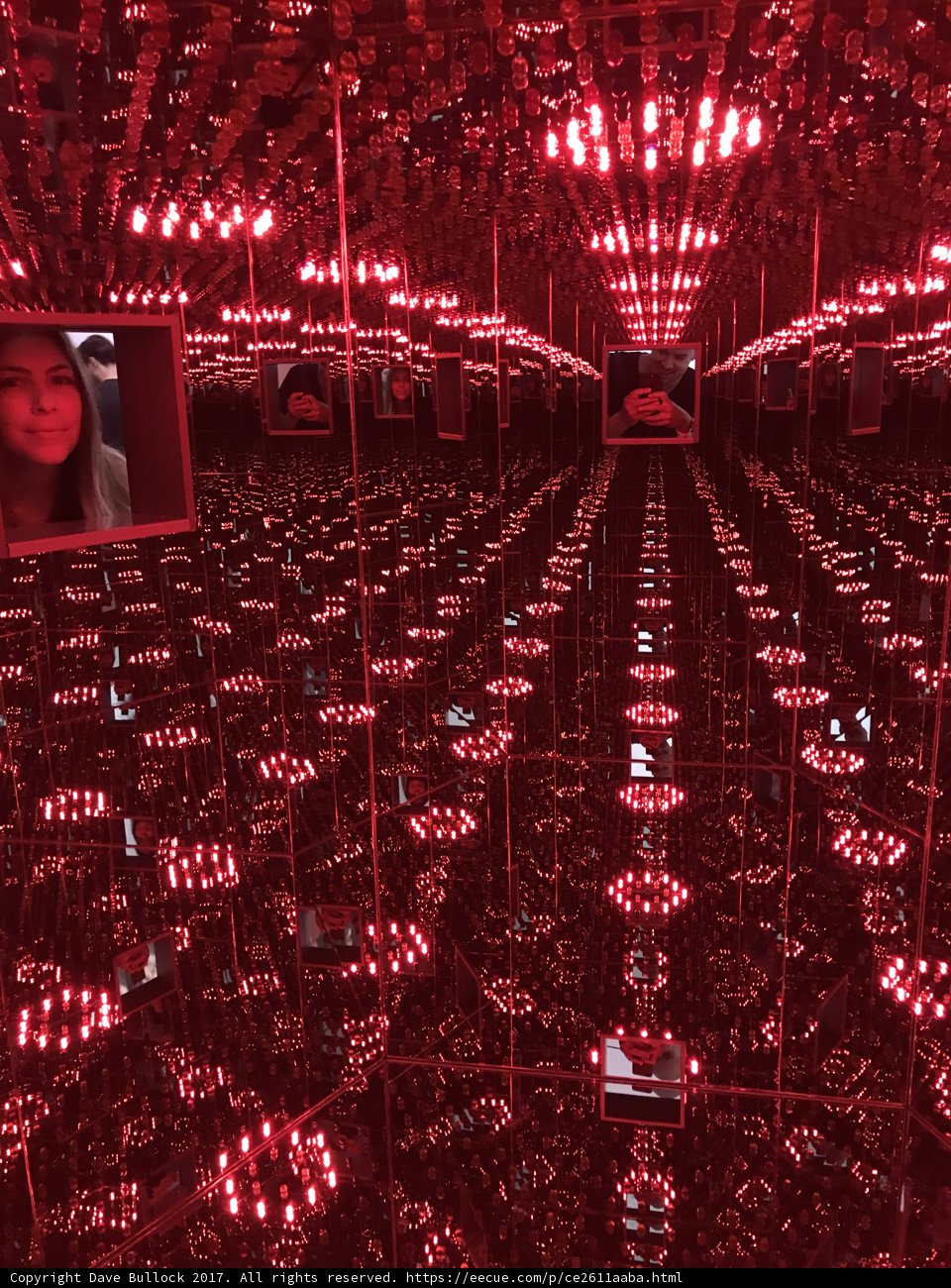 Red Reflections