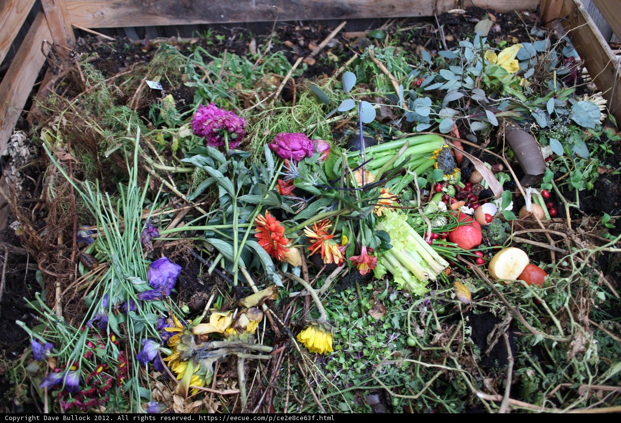 A Blooming Compost Pile
