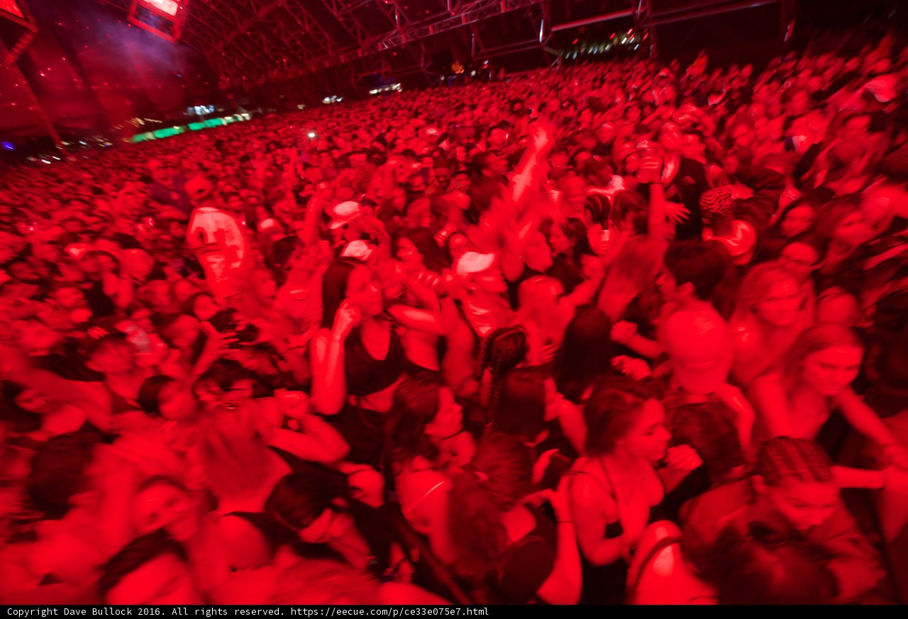 Lights, Crowd, Action!