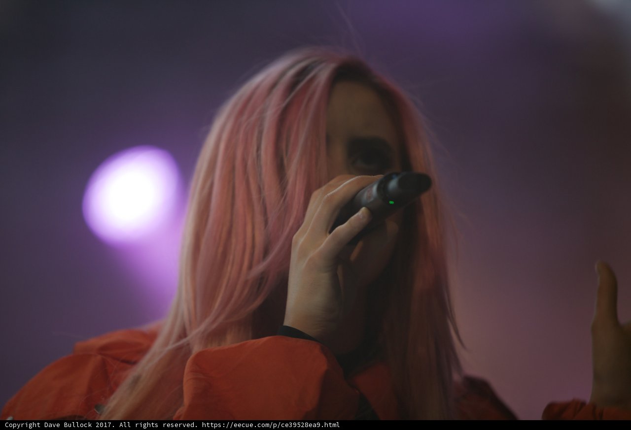 Pink-haired Performer Takes Coachella Stage
