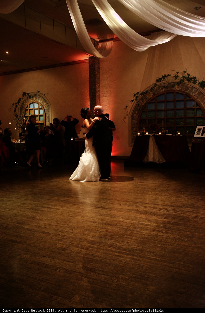 Elegant Ballroom Wedding Dance