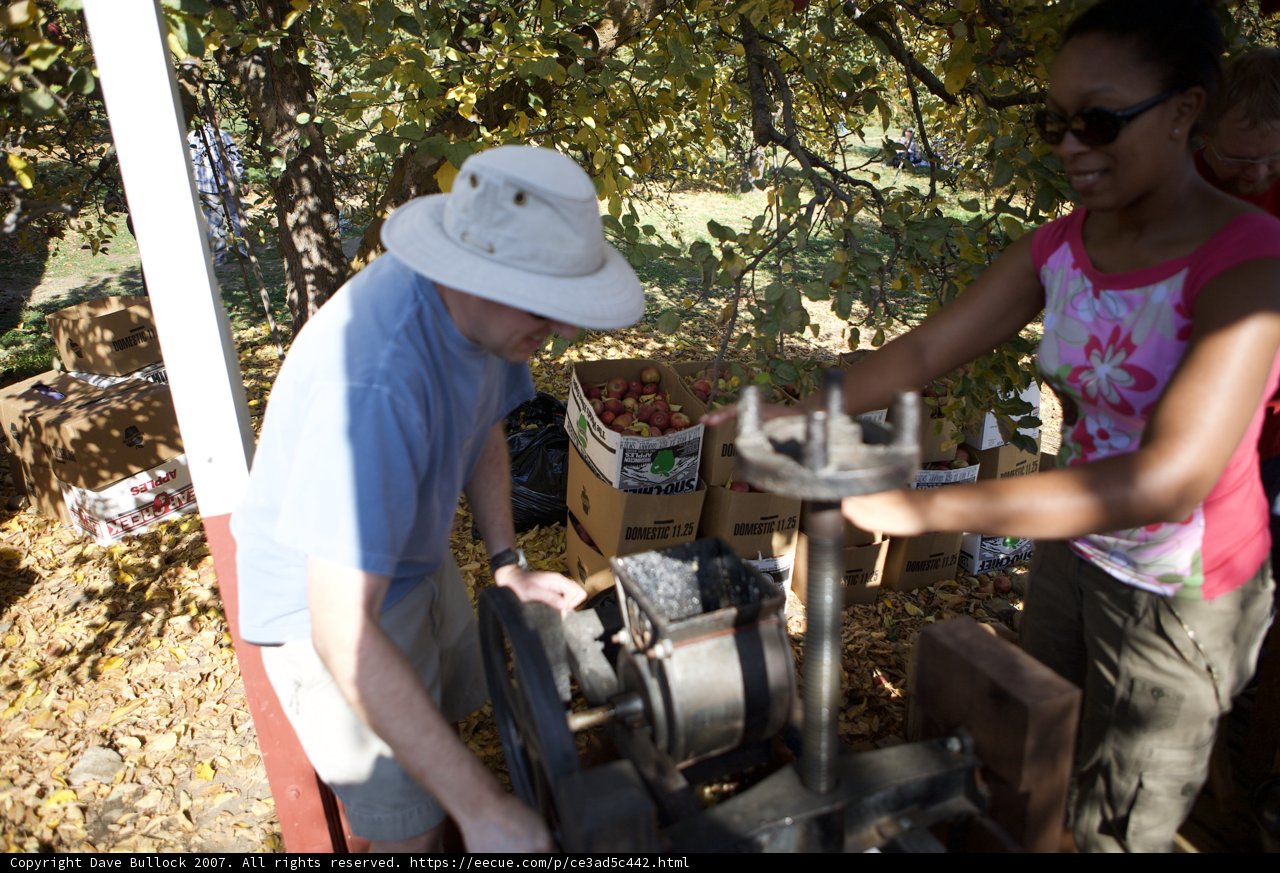 Pressing Apples in the Sun