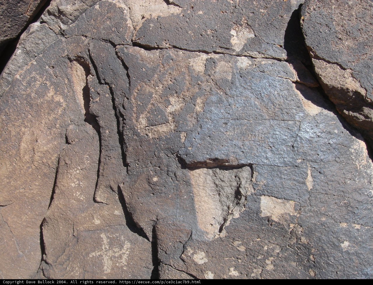 Slate Rock with Intriguing Fossil