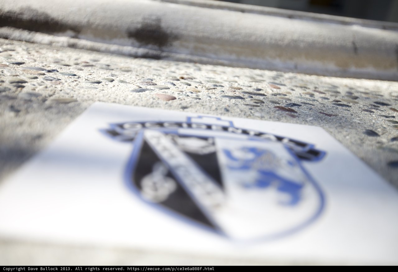 Logo Sticker