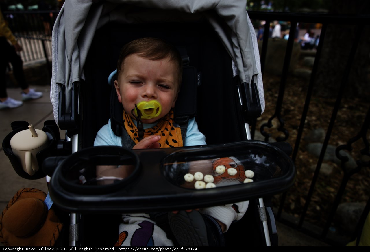 Baby's First Disneyland Adventure