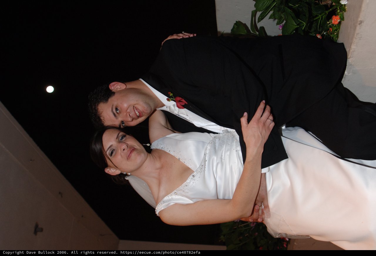Newlyweds Share Tender Moment at Wedding Reception