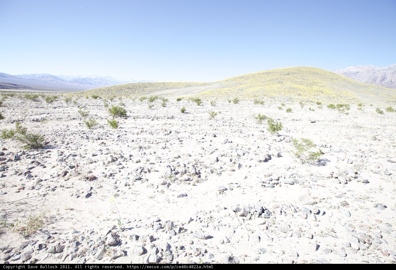 Rocky Field Oasis