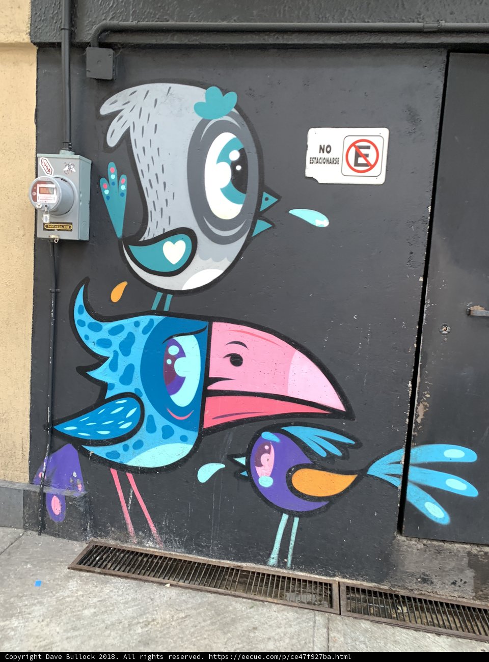 Vibrant Bird Mural Adorns a Door in Oxnard