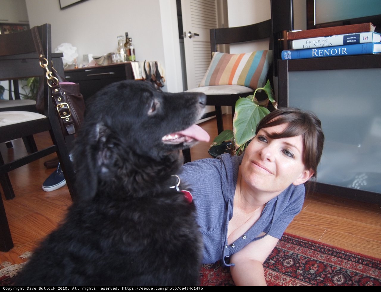 Woman and Black Dog Share a Playful Moment Indoors