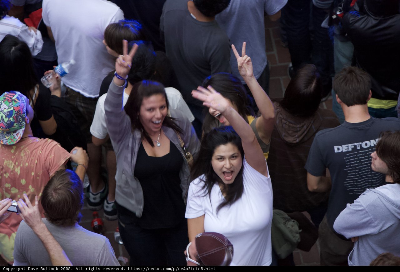 The Vibrant Urban Crowd