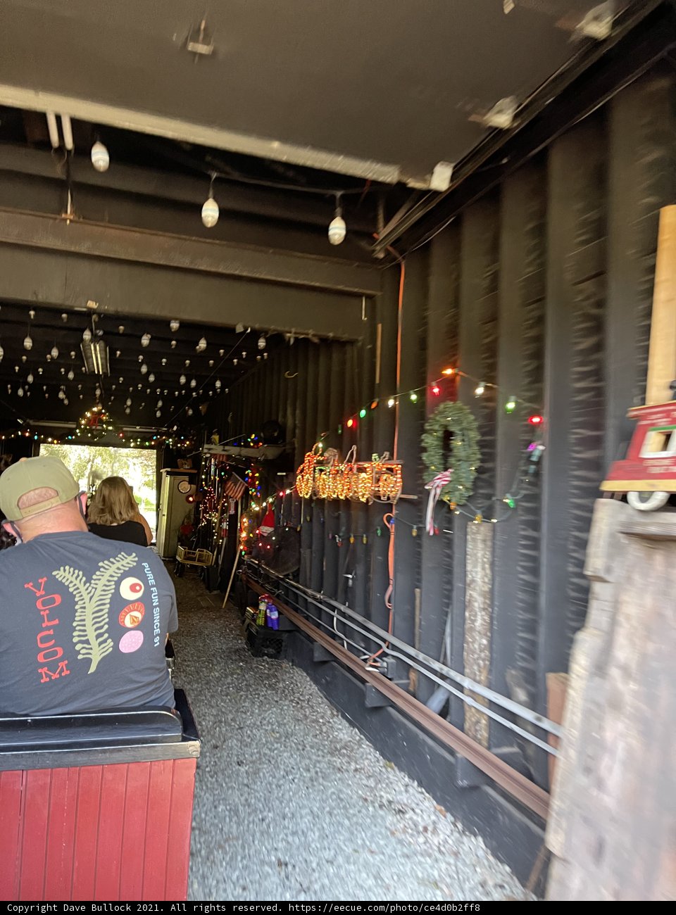 Urban Retreat Caption: Amid the hustle and bustle of San Francisco, a man finds a cozy corner to relax in front of twinkling Christmas lights at the zoo.