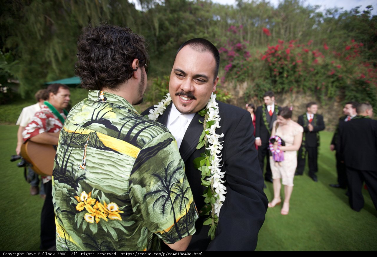 Hawaiian Wedding Bliss