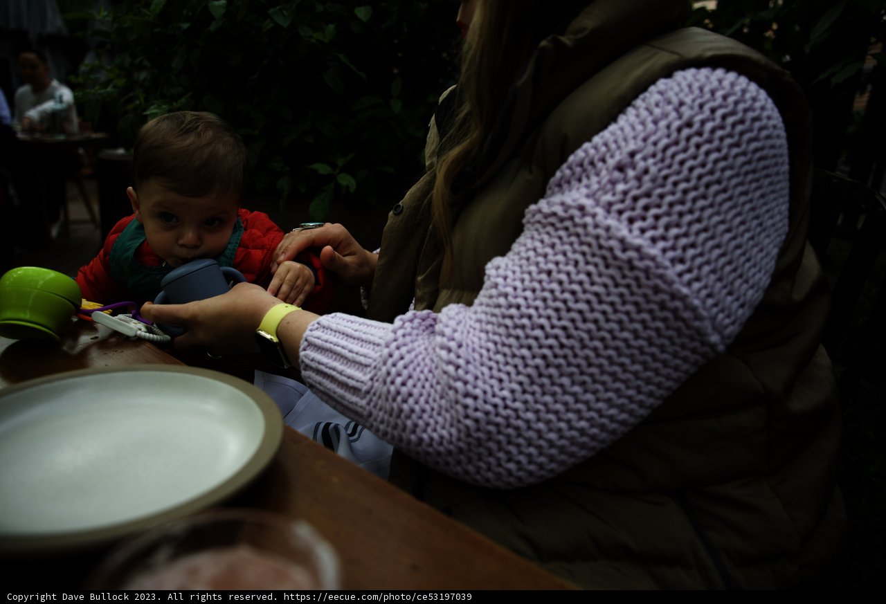 Cherishing Mealtime Moments