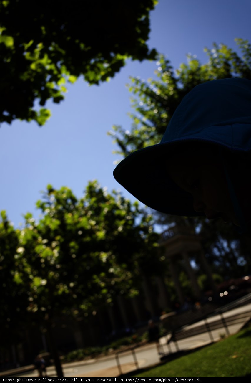 Summer's Innocence: Captured Moments at The Academy