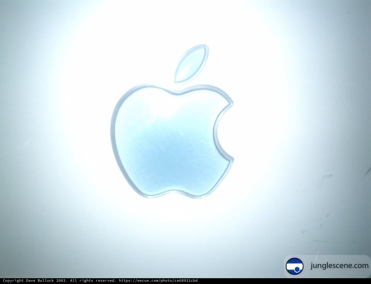 Apple Logo on a Blank Canvas