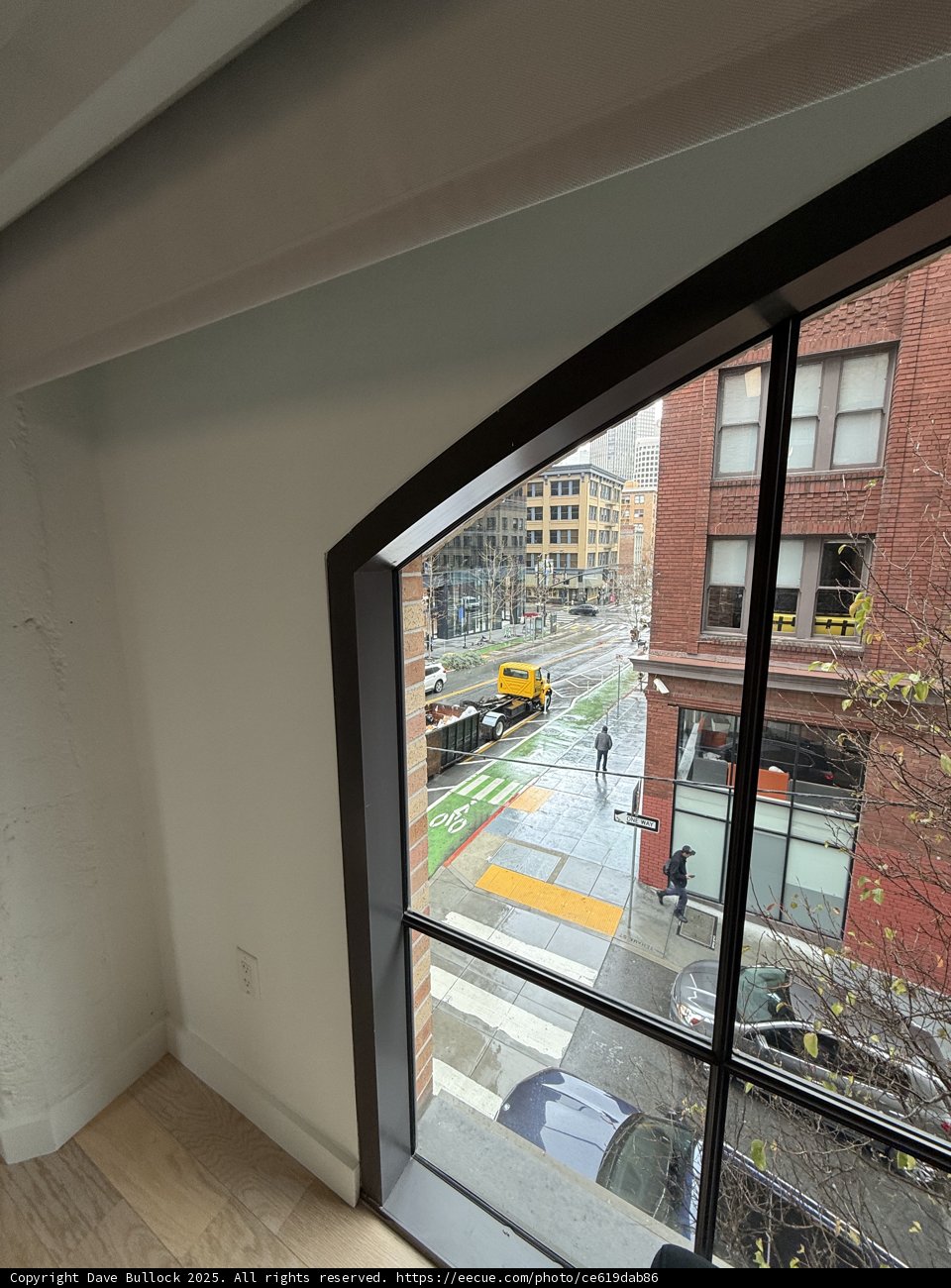 Window to the City's Pulse